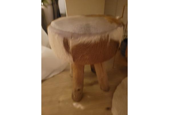 Stevige kruk (kale) geit  - 17668599573009159204936056460797