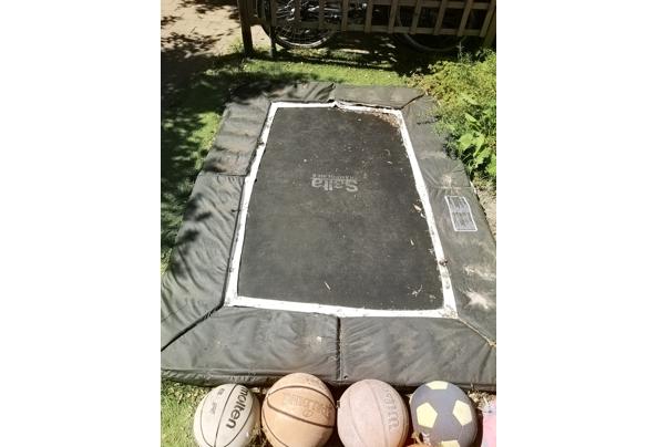 Trampoline - IMG_20250510_135748