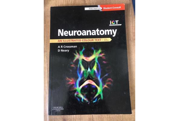 Neuranatomy an Illustrated Colour Text - ef1028b6-70a2-445a-a37d-027a3b190300