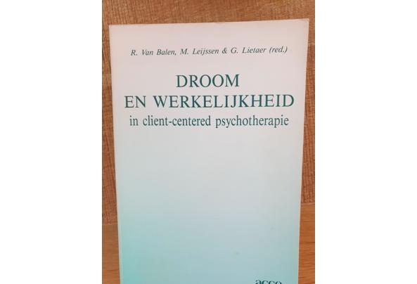 Droom en werkelijkheid in clientgerichte psychotherapie, onder redactie van G. Lietaer  1988   - 20250121_133851