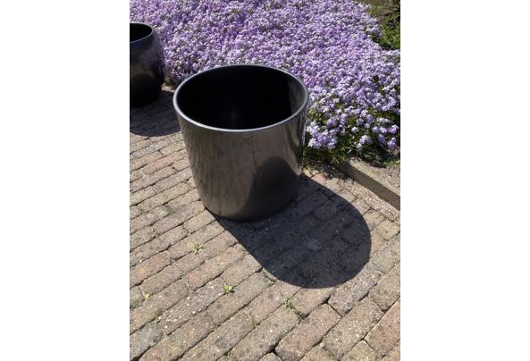 Verschillende bloempotten - IMG_0434