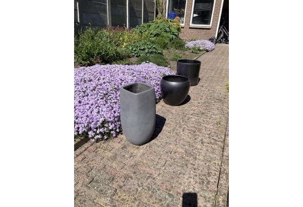 Verschillende bloempotten - IMG_0437