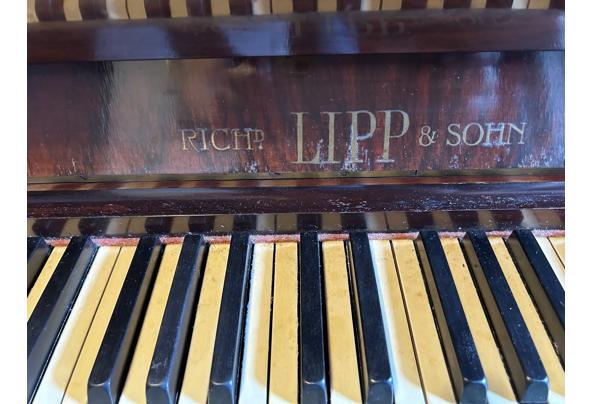 Piano rich LIPP sohn - IMG_4524