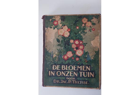 De bloemen in onze tuin, door Dr. Jac. P. Thijsse - 20260219_123359