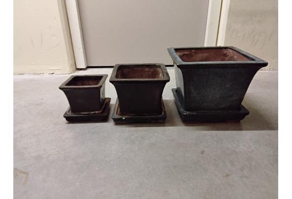 Planten potten - 20250504_130706