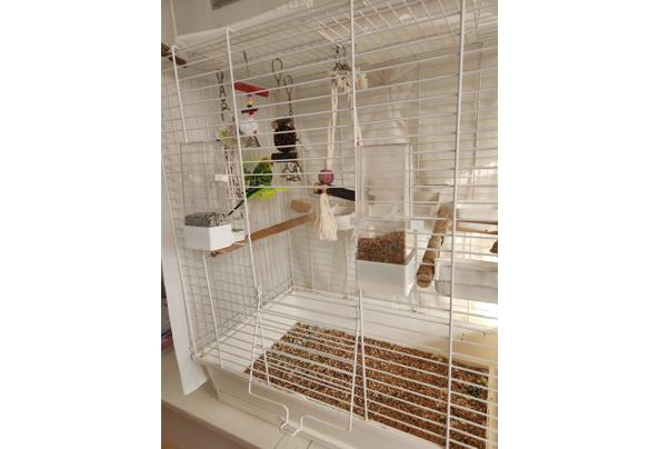 Parkietje aangeboden - 20260123_141441