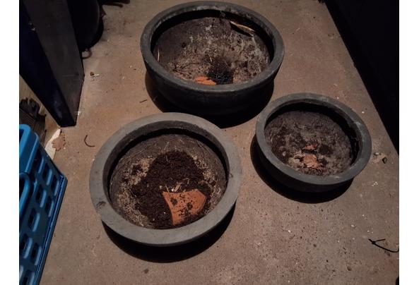 schalen en potten - 20260410_152426