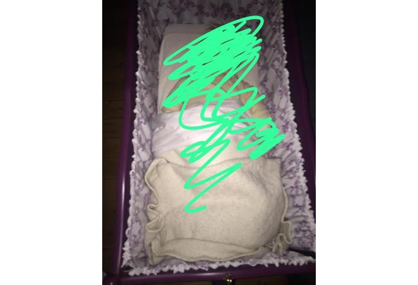 Wiegje met hemeltje en matras - PHOTO-2025-09-10-22-17-57