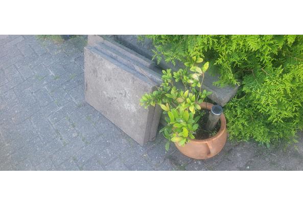 Tuintegelsstoep - 17797100829515995834431494782413