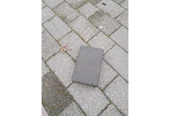 13,5 vierkante meter grijze betonklinker bestaande uit: 22x15x6 cm en 15x15x6 cm - 20250910_095441