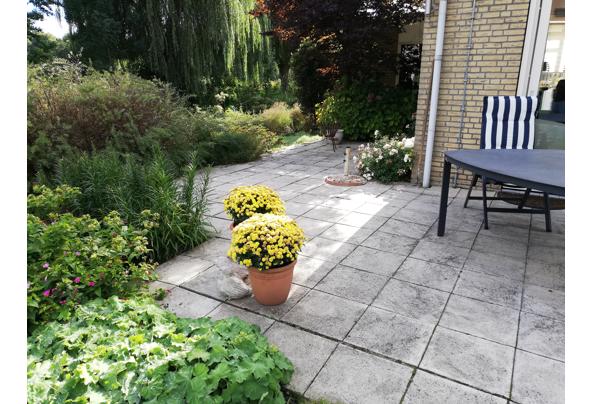 Terrastegels nu beschikbaar - IMG_20220921_160258