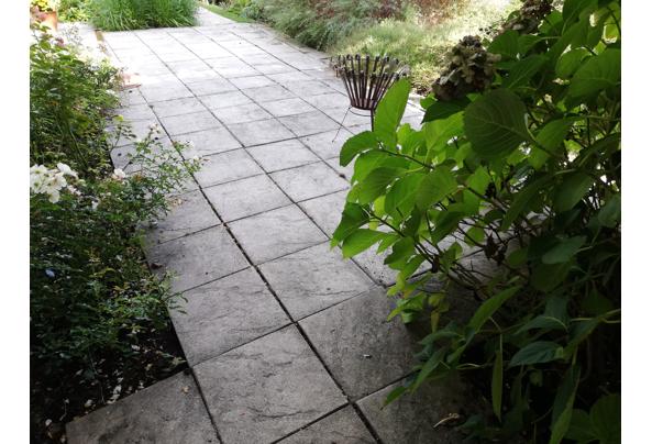 Terrastegels nu beschikbaar - IMG_20220921_160320