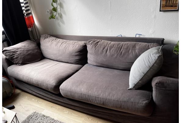 Grijze bank - IMG_4483