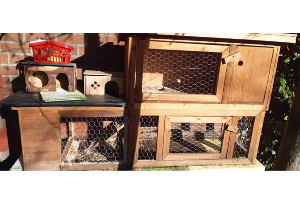 Cavia/konijnen hok incl toebehoren - 20260225_152220
