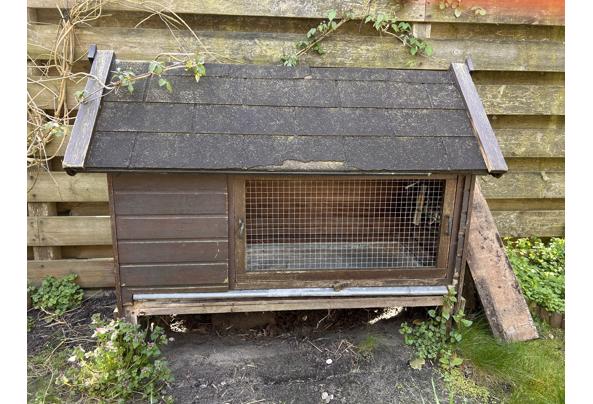 Konijnenhok - IMG_6628