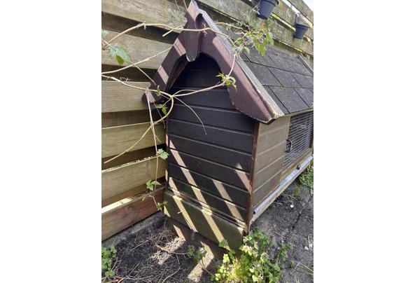 Konijnenhok - IMG_6629