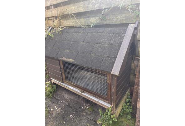 Konijnenhok - IMG_6630