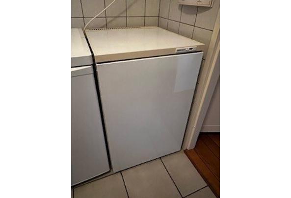 Diepvrieskast zanussi - diepvries-2 Diepvrieskast zanussi - diepvries-2