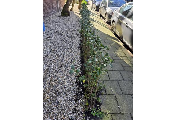 Grind ophalen gratis - 20260301_123455