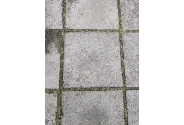 Grijze betontegels voor in de tuin! - 1000064551
