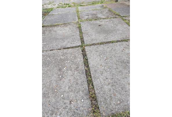 Grijze betontegels voor in de tuin! - 1000064552