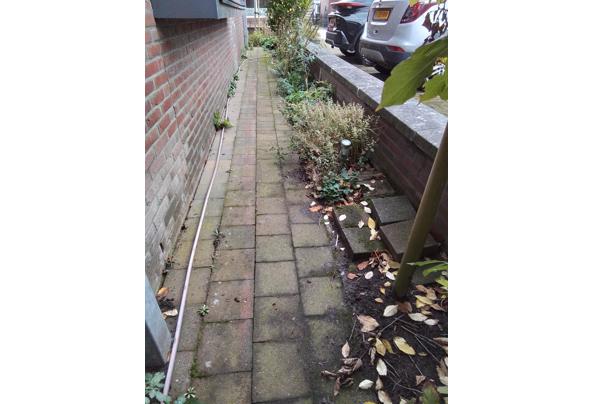 terrastegels - 20251030_141604