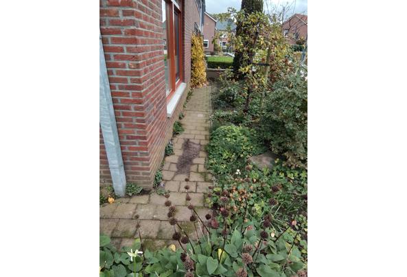 terrastegels - 20251030_141624