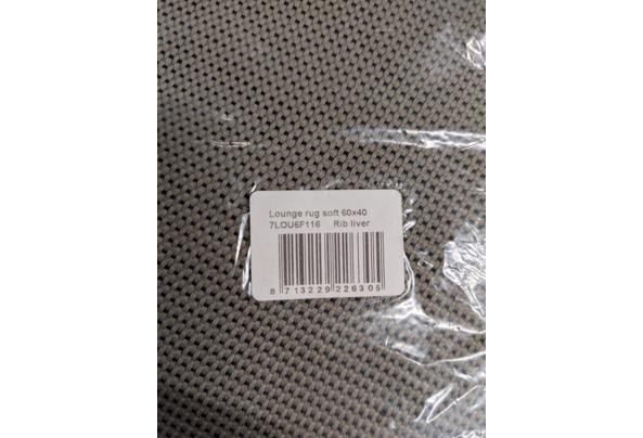 4 lounge kussens nieuw - PXL_20260222_122102808