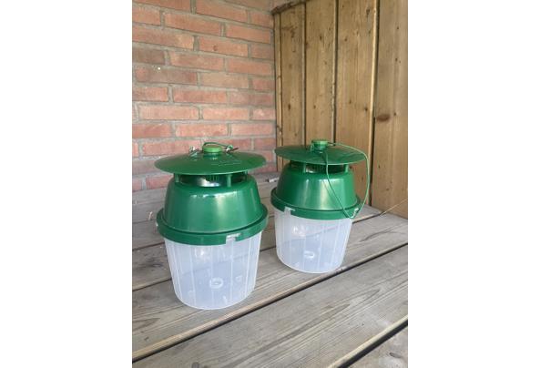 Buxusmottenvallen 2 stuks - IMG_9255