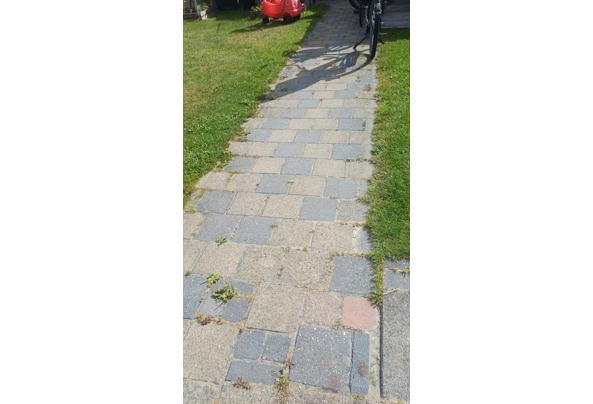 Gele en lichtblauwe tuinbestrating - 20260811_104656 Gele en lichtblauwe tuinbestrating - 20260811_104656