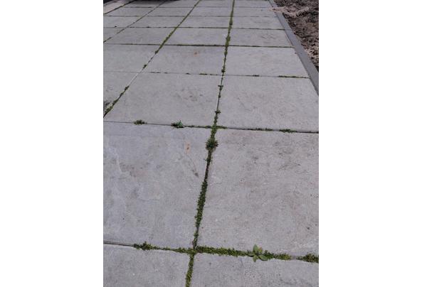 Terras tegels 40 cm x 40 cm - 20250626_145010