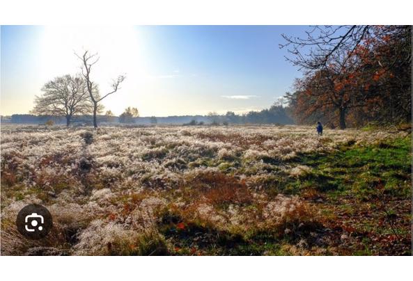 Hotelovernachting - Screenshot_20260405-084755_Chrome