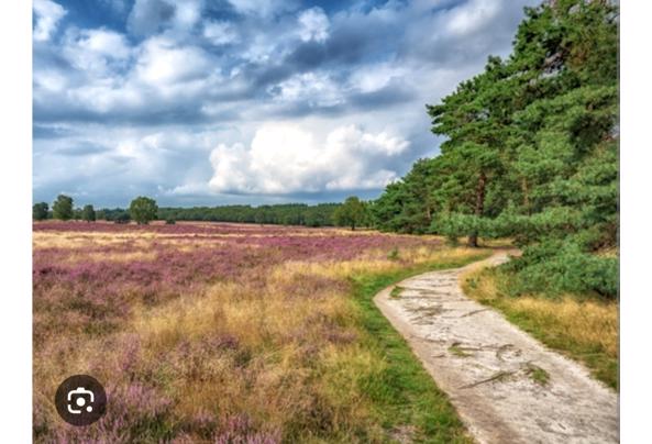 Hotelovernachting - Screenshot_20260405-084821_Chrome