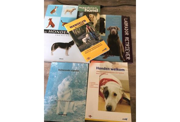 Hondenboeken - Honden.JPG