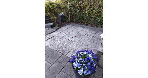 36 grindtegels 30 bij 30 en stoeptegels  liggen nog in tuin wel zelf eruit halen