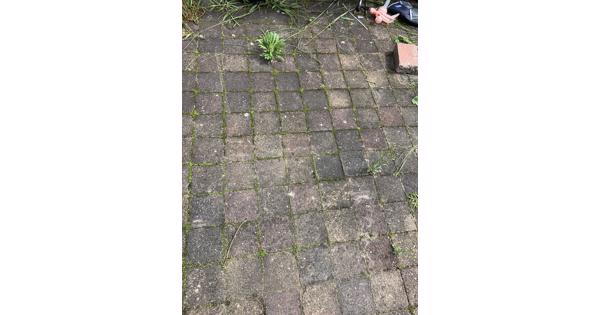 Koppelstones bont 12m2