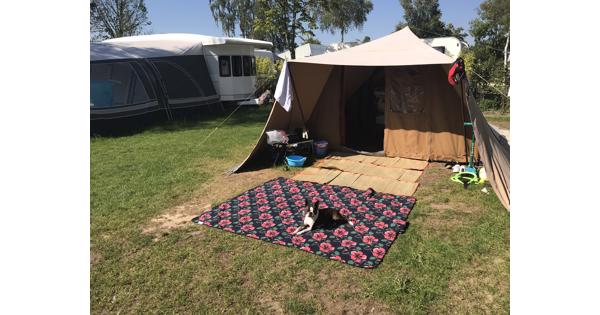 De Waard Albatros Junior