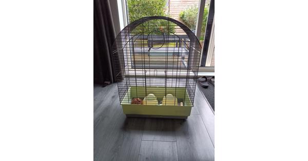 Gebruikte in goede staat zijnde vogelkooi