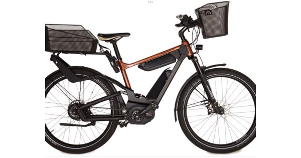 Set Riese Müller Delite Elektrische Fietsen Gezocht met of zonder Kentekenplaat 