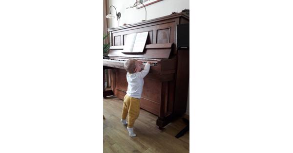 Vinyl vloerbedekking parket 5x3.60 mtr