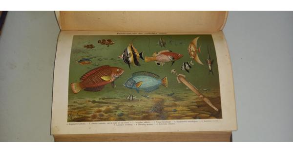 Winkler prins encyclopedie 16 delig 