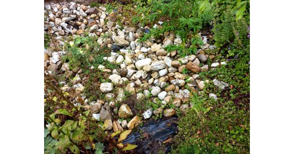 Maaskeien voor tuin