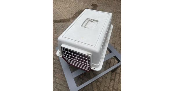 Reismand voor kat.