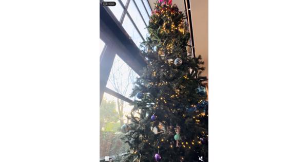 Grote kunstkerstboom, ruim 5 meter