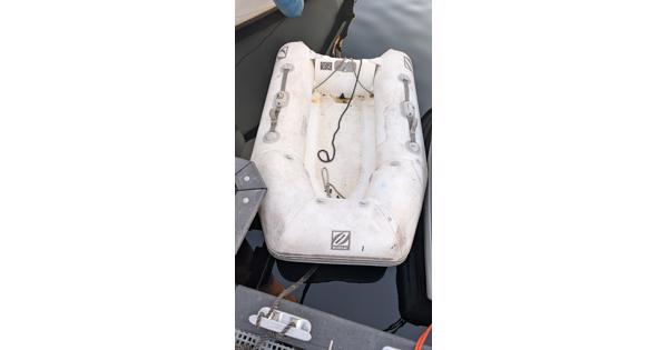 Zodiac 220