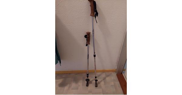 Nordic walking stokken