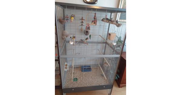 Gratis vogels en binnenvolieres