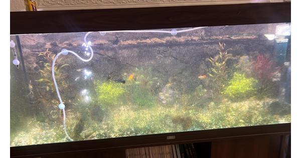 Juwel aquarium