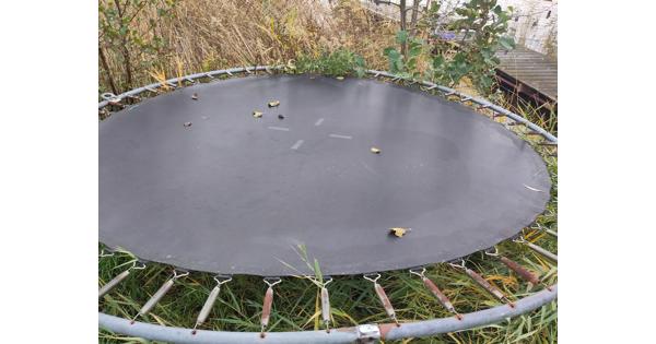Trampoline 