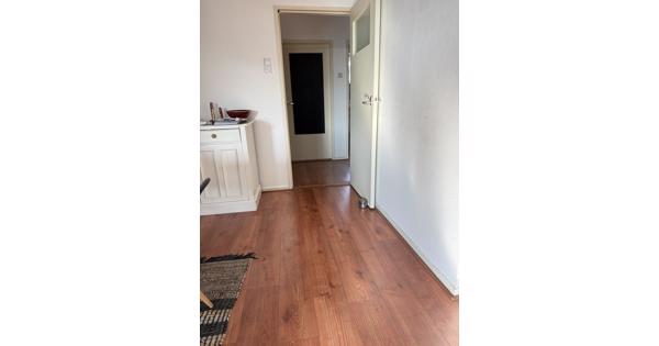 Laminaatvloer Krono Swiss 68m2 incl 79m plint